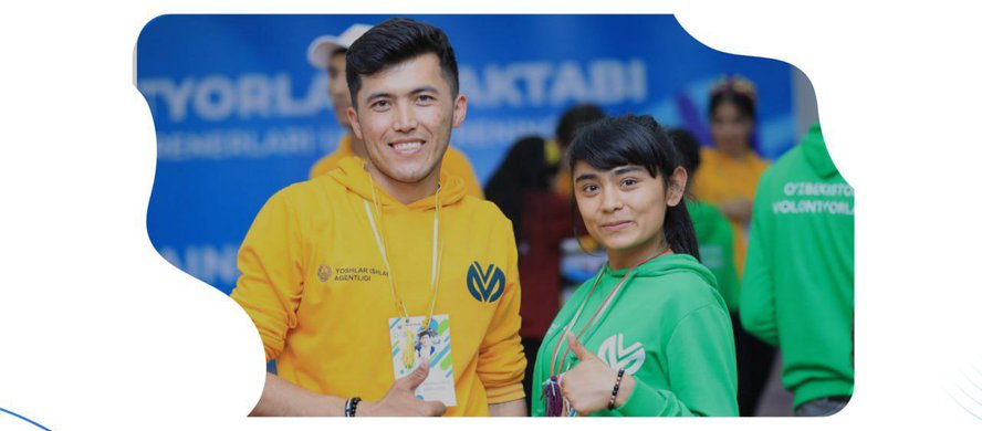 Dear mentors and volunteer coordinators!